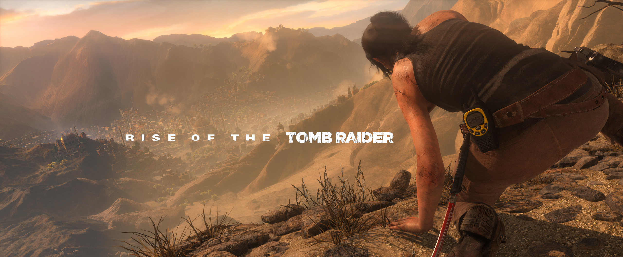 Rise of the Tomb Raider - cover