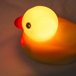 Edwin The Duck on a bed.