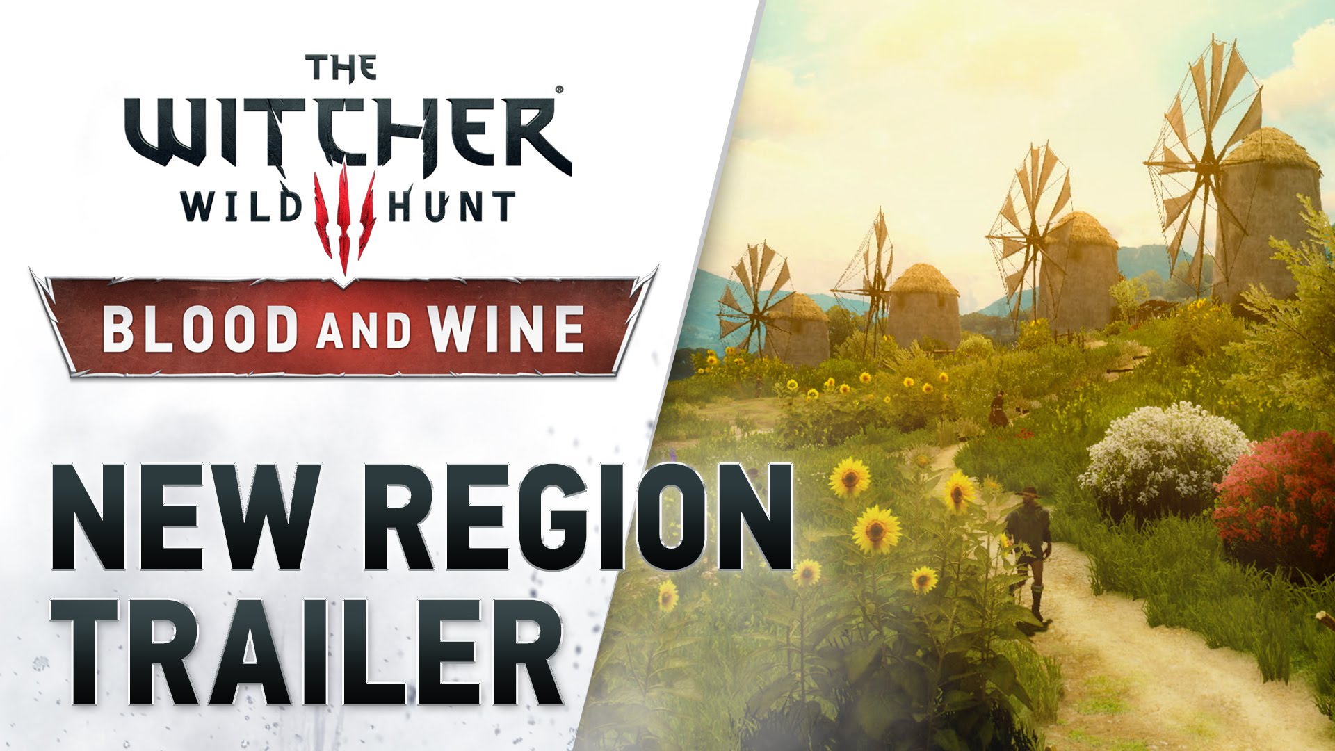 The Witcher III: Wild Hunt - New Region