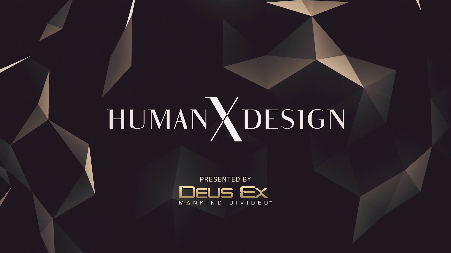 A black background with the words "human design" inspired by Deus Ex.