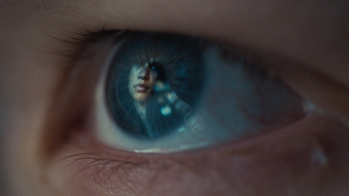 A close up of a person's eye filled with euphoria.